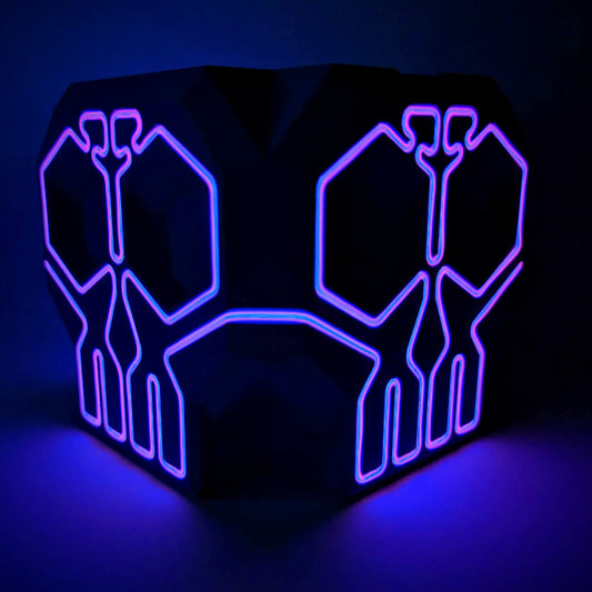 Neon Skull Box